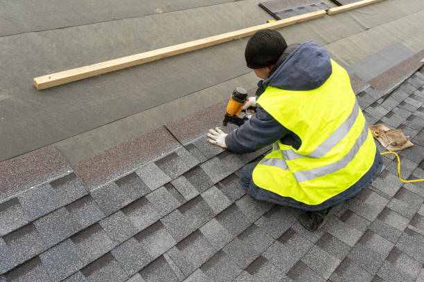 Best Roof Insulation Installation  in Chinook, MT