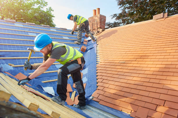 Best Emergency Roof Repair Services  in Chinook, MT